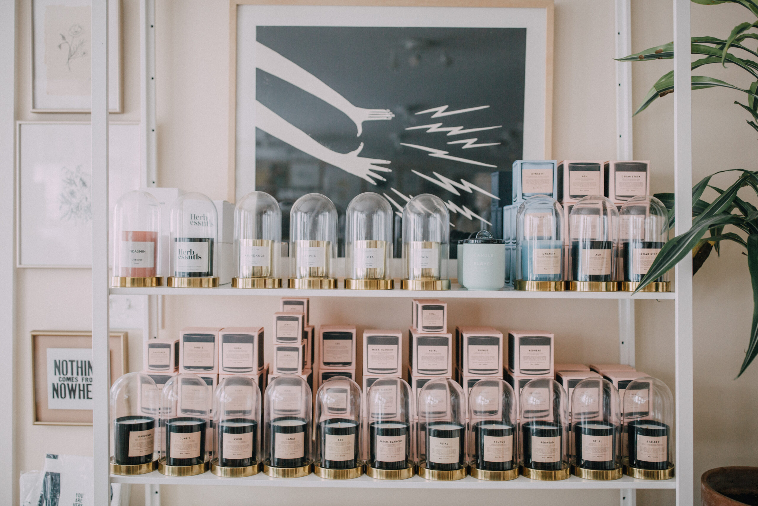 rows of candles are stocked on shelves in an independent store with playful art on the walls