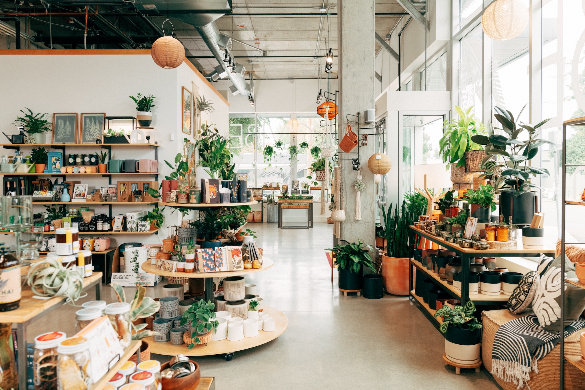 the interior of an airy, bright, independent plant shop.